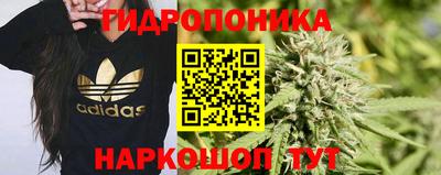 ECSTASY Краснокаменск