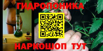 ECSTASY Краснокаменск